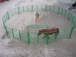 40ft round pen (galvanized