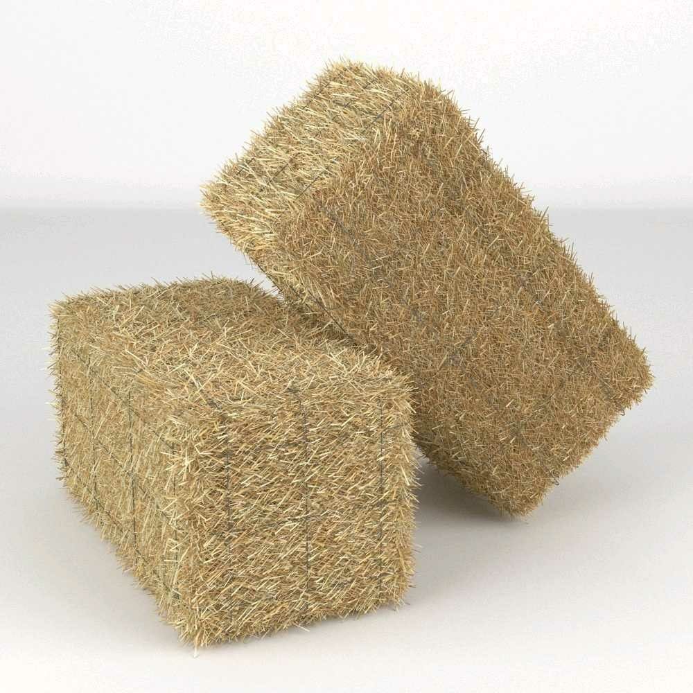 hay bales coastal hay