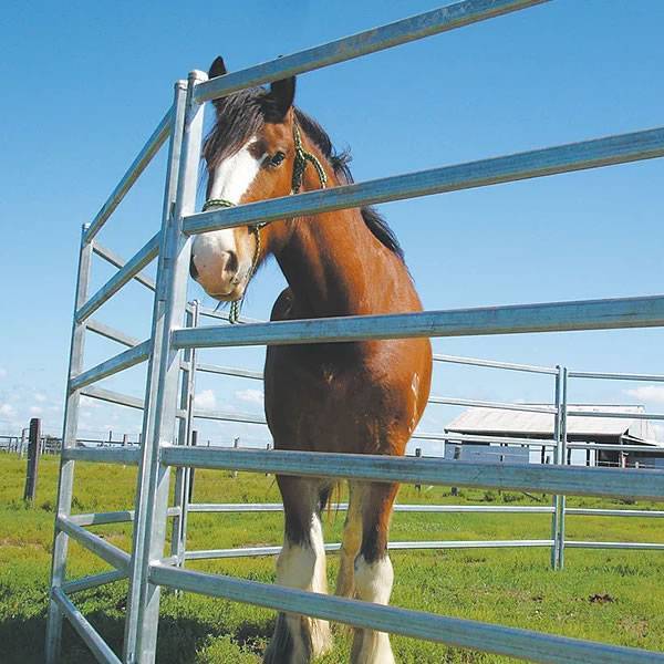 horse corral panels
