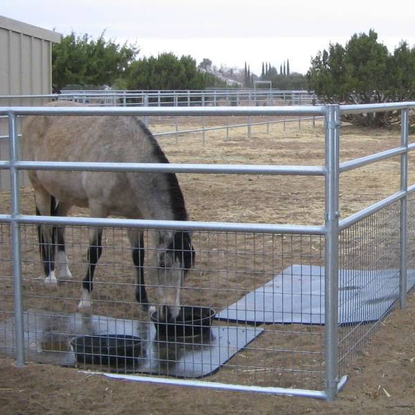 livestock fence